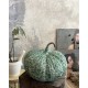 Citrouille en bronze
