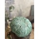 Citrouille en bronze