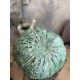 Citrouille en bronze