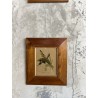 Cadre gravure ornithologique