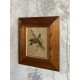 Cadre gravure ornithologique