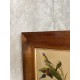 Cadre gravure ornithologique