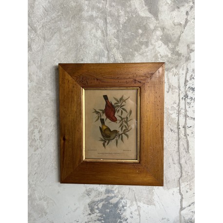 Cadre gravure oiseaux