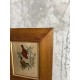 Cadre gravure oiseaux