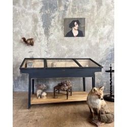 Vitrine ancienne
