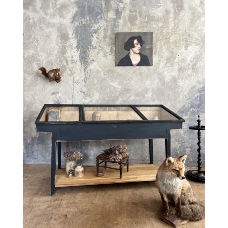 Vitrine ancienne