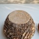 Boite coquillages