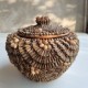 Boite coquillages
