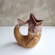 Vase poisson