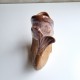 Vase poisson