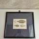 Cadre poisson sole
