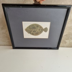 Cadre poisson la plie