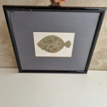 Cadre poisson la plie