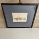 Cadre poisson dragonet