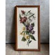 Cadre fleuri