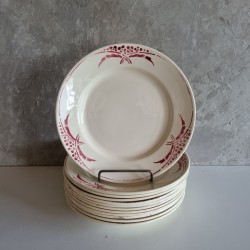 12 assiettes ceranord