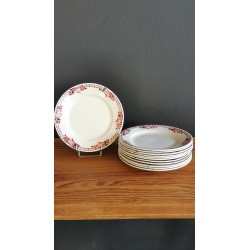 12 assiettes plate