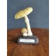 Champignon Amanite Citrine